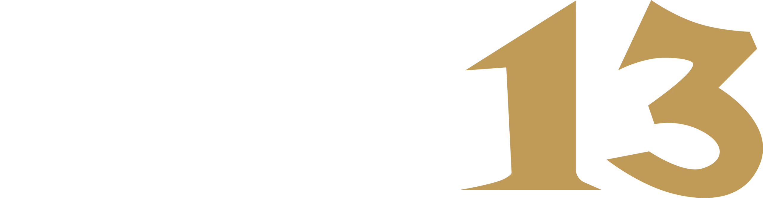 SERVICIOS AUXILIARES LOGÍSTICOS